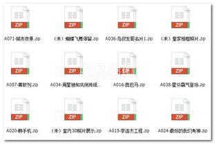 爆料搞笑模板大全视频播放,揭秘爆料模板大全，笑料百出，笑到肚子疼！